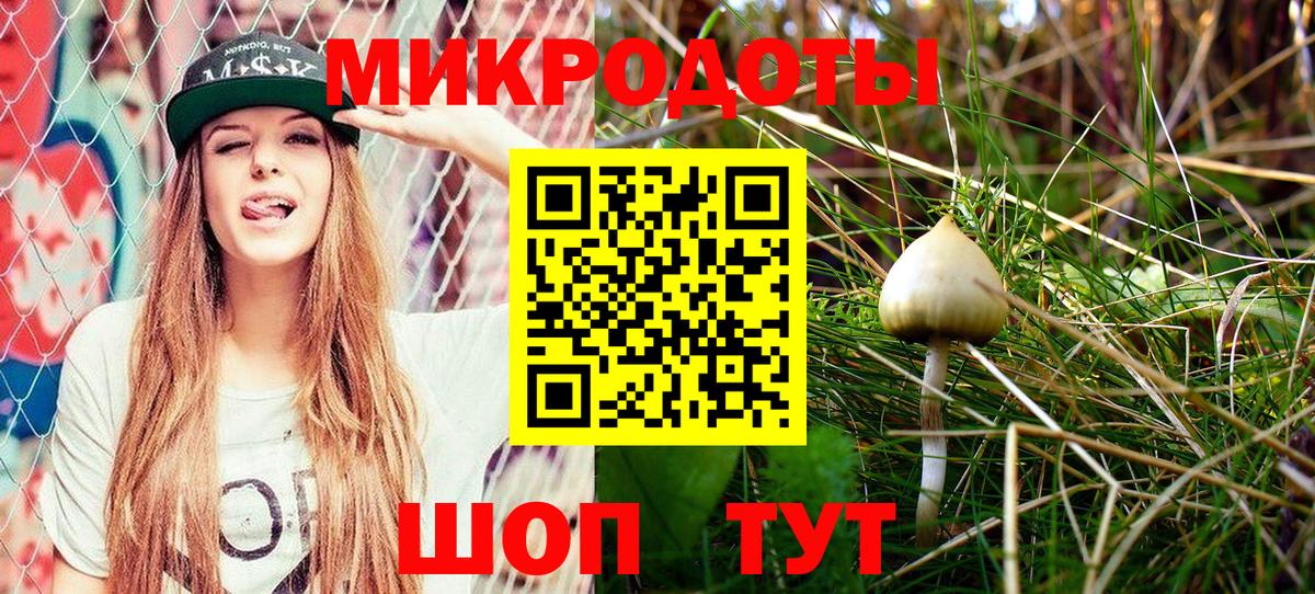 Галлюциногенные грибы Cubensis  Вход с VPN  Серов 
