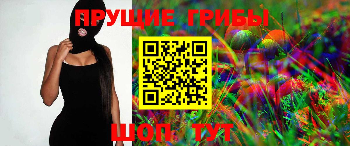 Галлюциногенные грибы Psilocybe Серов